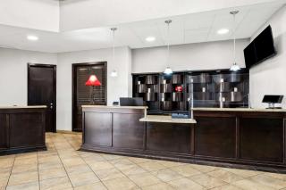 SureStay Plus Hotel by Best Western Lubbock Medical Center - Lubbock - 9