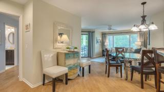Golf, Family Getaway, Shipyard - Hilton Head Island - 4