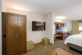 Holiday Inn Express Hotel & Suites Carlsbad by IHG - Carlsbad - 9