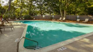 Pet Friendly, Private Patio, Beach - Hilton Head Island - 6