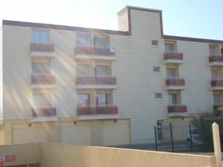 Studio cosy avec balcon, proche des Thermes, animaux admis, climatisé, classé 2 étoiles - FR-1-503-180 - Balaruc-les-Bains - 1