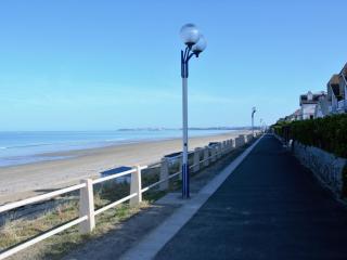 Tiny House bois avec terrasse, piscine, wifi, animaux admis, parking - 200m de la plage - FR-1-361A-88 - Jullouville-les-Pins - 8