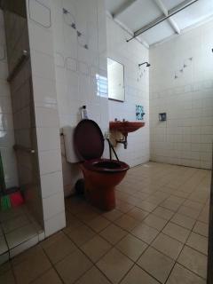Anitas place - 5