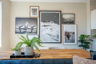 Sleek Brand New 1 Bedroom Cozy Luxury - Chatham - 1