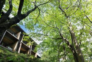 Laforet Shuzenji Sanshisuimei - Izu - 5