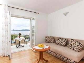 Apartments Ana Lopud - One Bedroom Apartment with Balcony and Sea View - 3 1 floor - Lopud - 9
