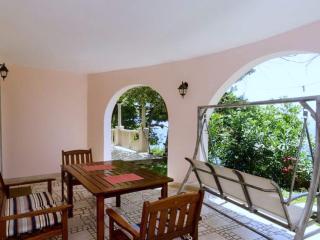 Apartments Plavac Mali- Superior One Bedroom Apartment with Terrace and Sea View - Potomje - 0