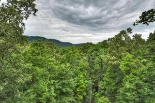 Pursuit of Happiness Mountain luxury hot tub big-screen TVs pet-friendly - Mineral Bluff - 1