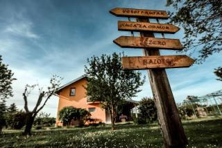 Kuća za odmor Duga - - 8