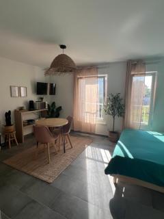 LE COSY Sarrebourg Wifi Netflix Tout à pied Proche center parc Proche gare - Sarrebourg - 9