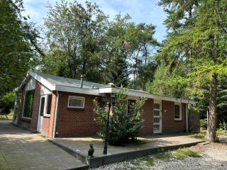 Relaxen in het bos met privésauna - Holten - 1