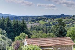 Les Bois Noirs - appt vue montagne - - 9