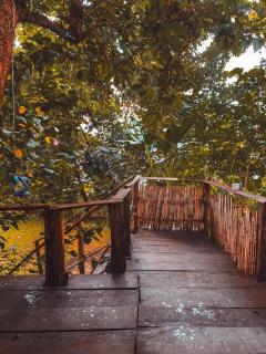 Sipi Falls Lodge - Sipi - 5