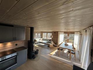 Bjørkebo in Ål - cabin in hiking and skiing area - - 9