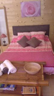 Chalet climatisé avec kitchenette, accès piscine, au sud d' Aix-en-Provence, for non smokers-non vapoteurs only - 6