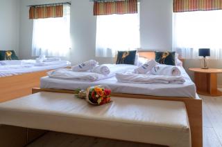 Fenyves Vendégház - 5