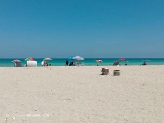 Appart la rose 2 - 2