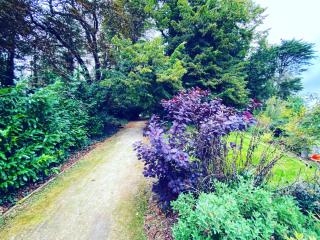 The Lucan Spa Hotel - Lucan - 2