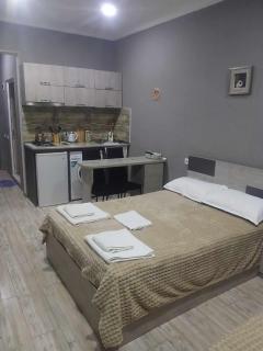 Mtis Kheoba Apartment - Borjomi - 1