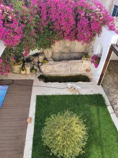 AltaVita - Serviced upper house with heraldic features - Nicosia - 3