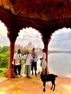 HOT - House Of Travellers Taj view - Agra - 5