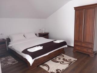 Casa Stejarului - Vatra Dornei - 2