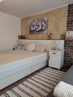 Apartman Ramonda Banja Koviljača - Banja Koviljača - 8