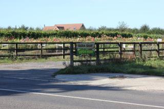 The Lodge - Storrington - 5