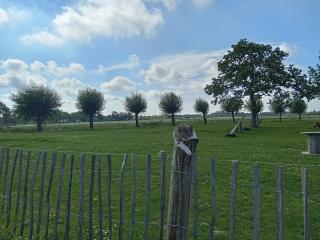 Pipowagen boerderij de schans - Klundert - 1