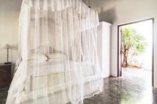Nisala Arana Boutique Hotel - Bentota - 9