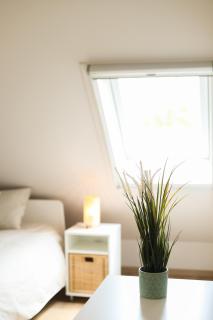 Home2Stay - 7T3 - Zonnebeke - 4