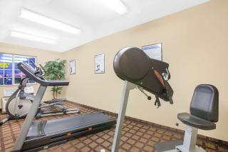 Microtel Inn & Suites By Wyndham Conway - Conway - 8