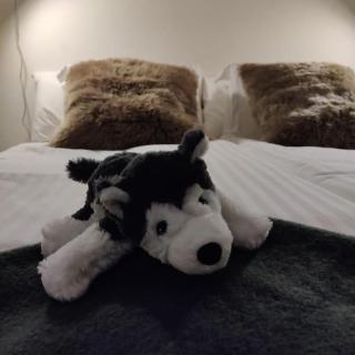Polar Luxury Suite - 9