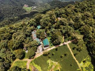Lakkidi Mist Resort - Vythiri - 8