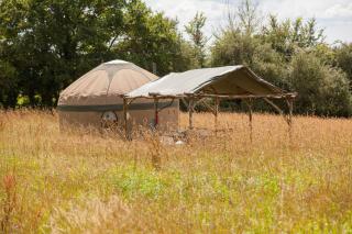 Ash Yurt - 1