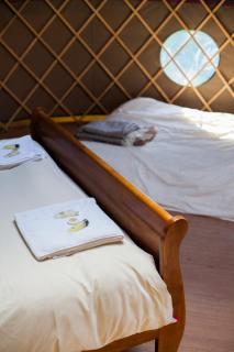 Oak Yurt - Kent - 4