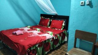 Hobbit Hill - Ruteng - 9