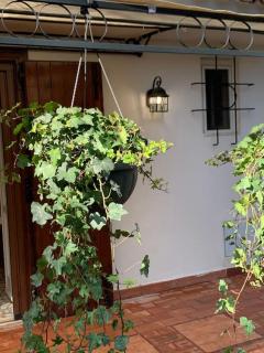 Chalet Felicita con giardino Immerso nel bosco - Castellaneta Marina - 3
