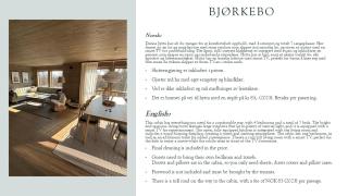 Bjørkebo in Ål - cabin in hiking and skiing area - - 5