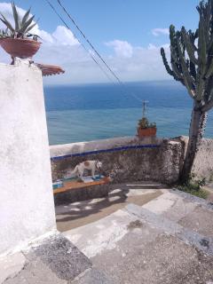 Casa Mamma Mia - Albori - 9
