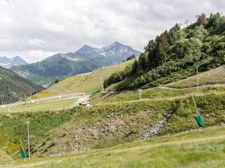 Méribel Mottaret : Appart. Confortable 2 Ch, Balcon, Ski-In/Ski-Out - FR-1-355-50 - Méribel - 5