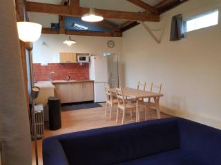 Loft 70 M2 Disney - Fontenay-sous-Bois - 9