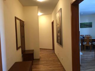 Spacious 2 Bed Apartment Close To Gondola - Bansko - 5