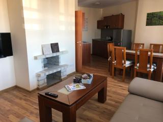 Spacious 2 Bed Apartment Close To Gondola - 2