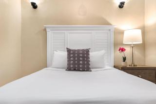 Spacious and Fully Furnished Condo Near St. Charles - New Orleans - 4