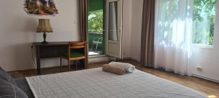 LL Villa Sanandrei - 7