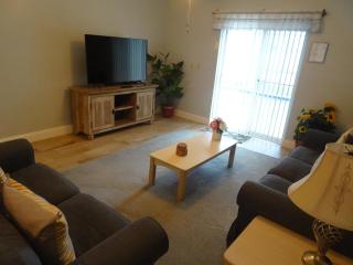 The Florida Pad - Kissimmee - 6