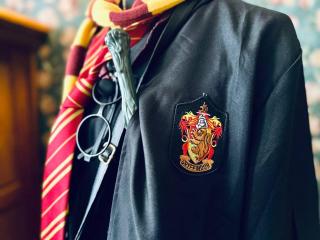 Harry Potter Lodge - 4