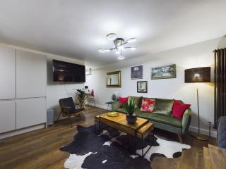 Islington Lux garden flat moments to tube - London - 9