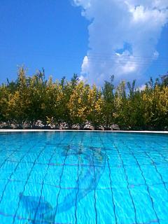 Iliachtides Villas - 2